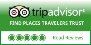 Trip Advisor Reviews