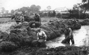 Flax Movie Night, Monreagh Ulster Scots